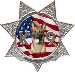 Sheriff decal reflective 4