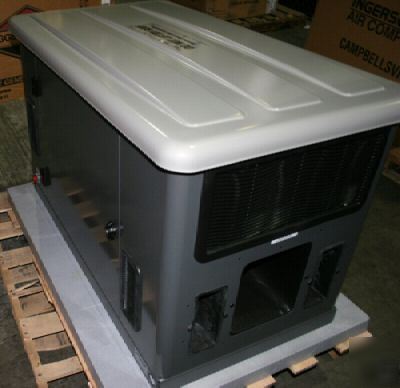 New briggs & stratton home generator EM12 empower 