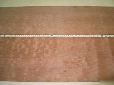 Pomelle makore veneer 65 sq. ft. lot 3121
