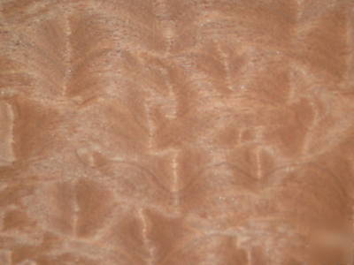Pomelle makore veneer 65 sq. ft. lot 3121