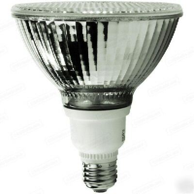 Tcp cfl - compact fluorescent flat par floodlight 16W
