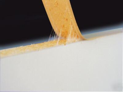 50Â¿ roll of white peel & stick edgebanding by fastcap